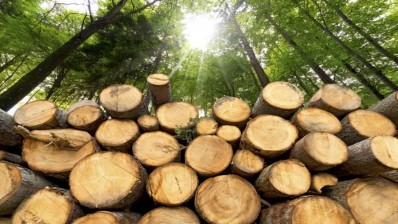 vente de bois annonce