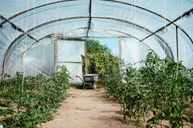 Création potager bio