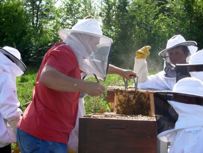 L’IPEA de La Reid met en œuvre une formation d’initiation à l’apiculture