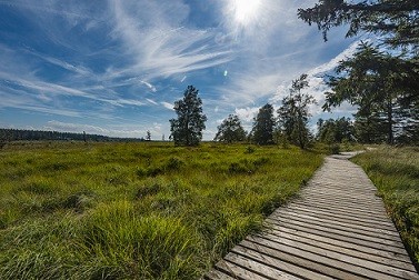 Les hautes-Fagnes, un must en termes de balades