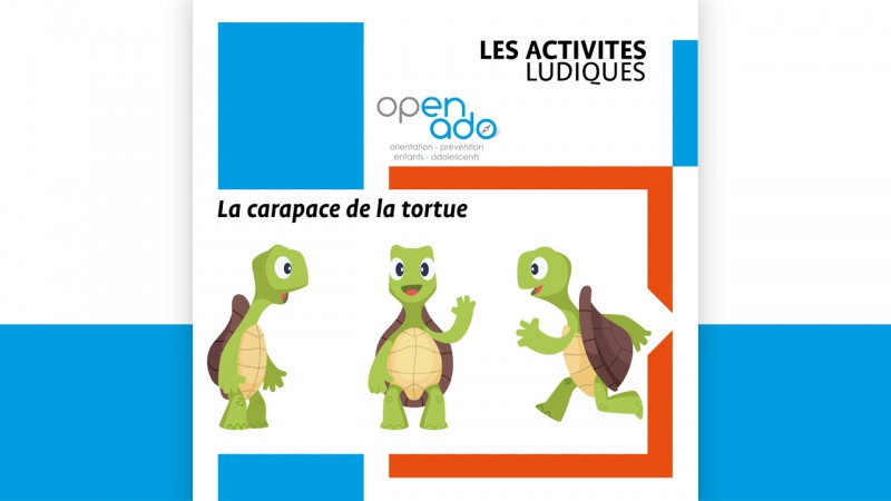 La carapace de la tortue