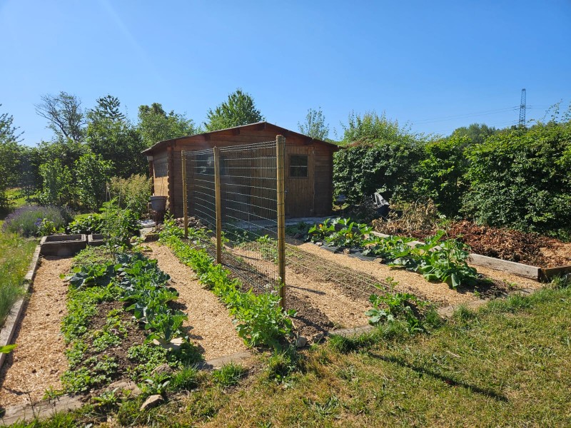 Jardin