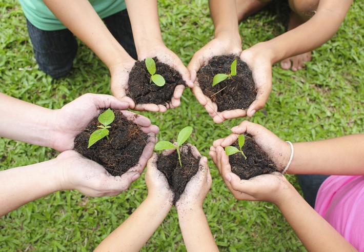 Intégrer un jardin collectif