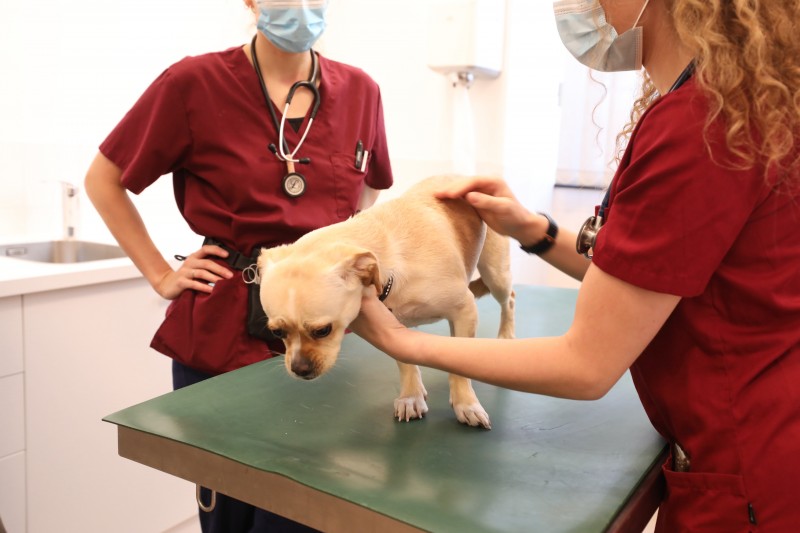 Fondation Prince Laurent Cass