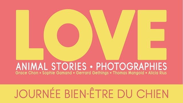Journées bien être du chien