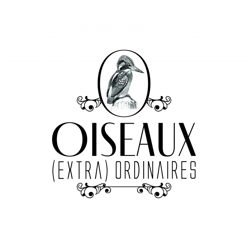 Oiseaux (extra)ordinaires 