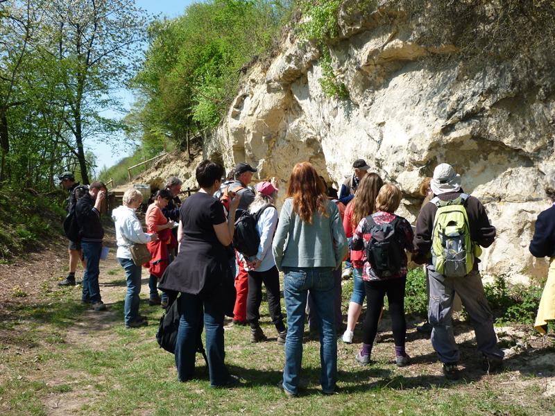 Découverte de la biodiversité... sur le terrain !