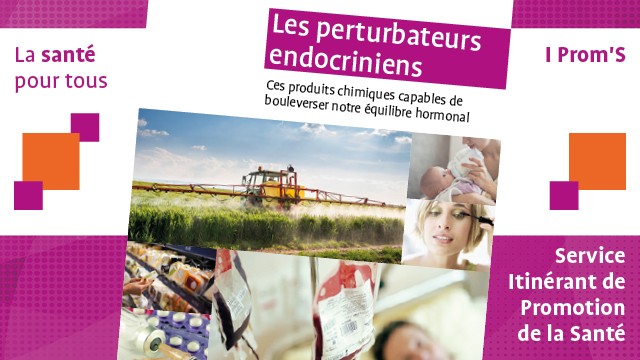 Les perturbateurs endocriniens