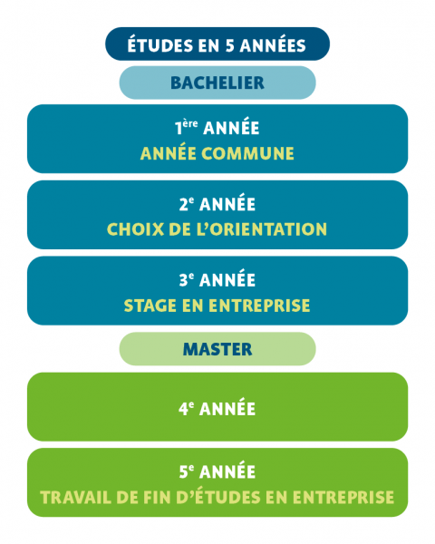 Etudes