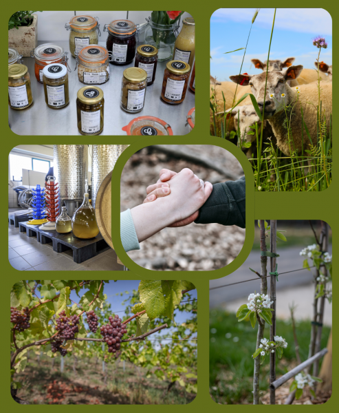 Formation « Coopératives dédiées à la vente de produits locaux »