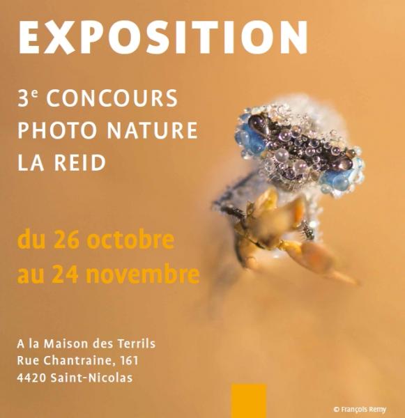 Du 26 octobre au 24 novembre, rendez-vous à la Maison des Terrils de Saint-Nicolas pour découvrir les photos lauréates du 3e concours photo nature de La Reid