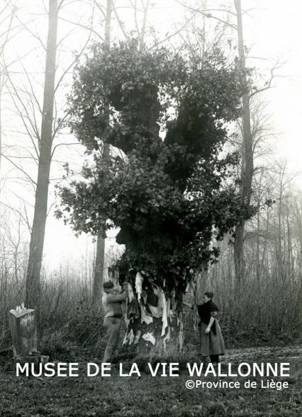 Arbre à loques