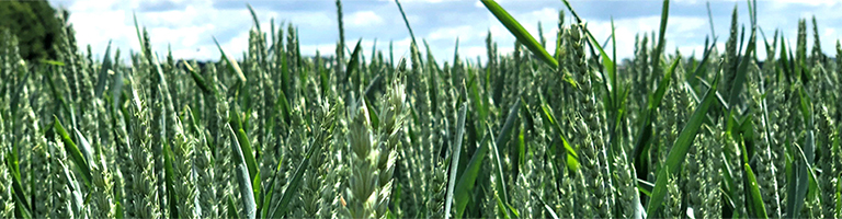 Gemeinsam für das Klima handeln