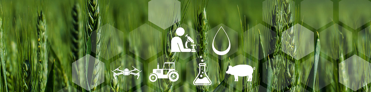 Agriculture, Ruralité et Laboratoire