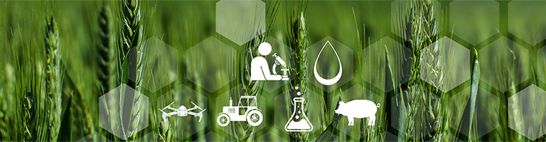 Agriculture, Ruralité et Laboratoire