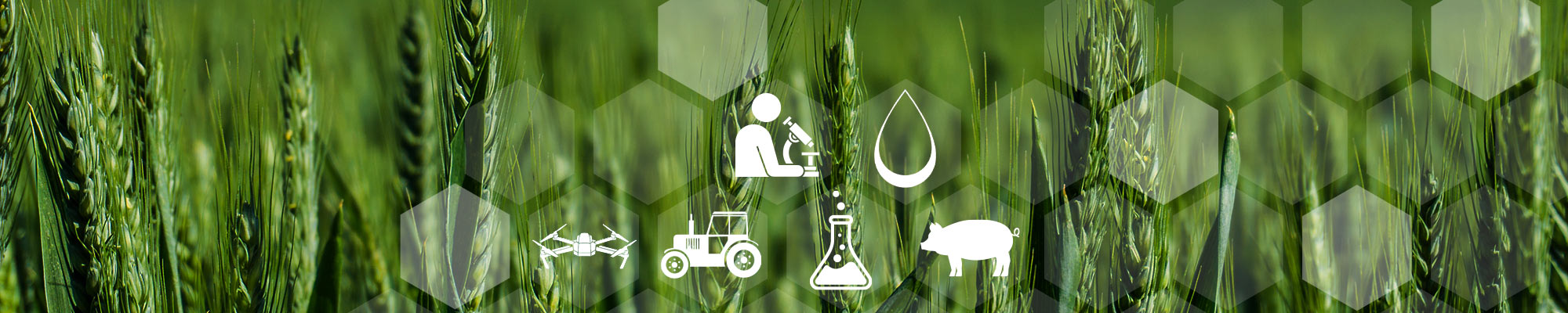 Producteurs locaux