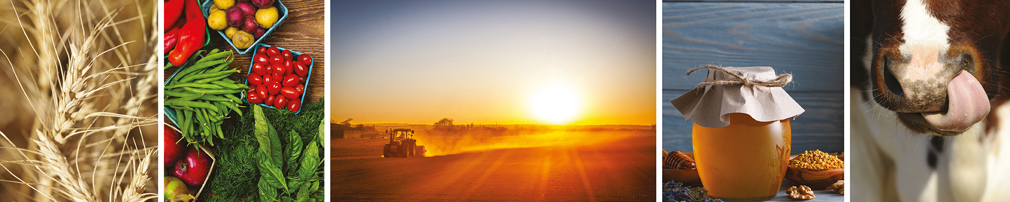 Centre de Formation en Agriculture et Ruralité