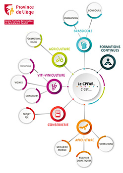 Organigrame