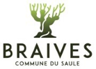 BRAIVES
